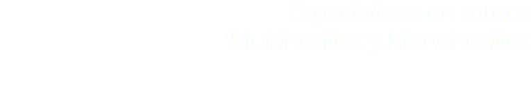 Especialistas en tornos
Multihusillos y Monohusillos