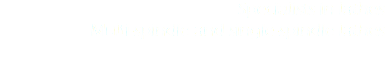 Specialists in lathes
Multi-spindle and single-spindle lathes
